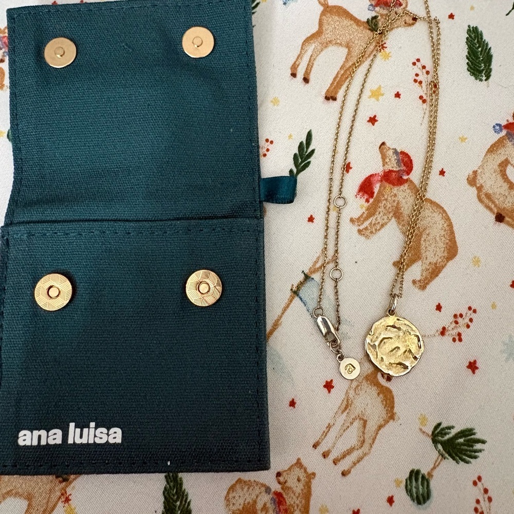 Ana Luisa Gold Medallion Necklace